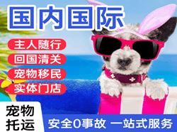 舟山普陀山航空快运国际宠物托运 【国